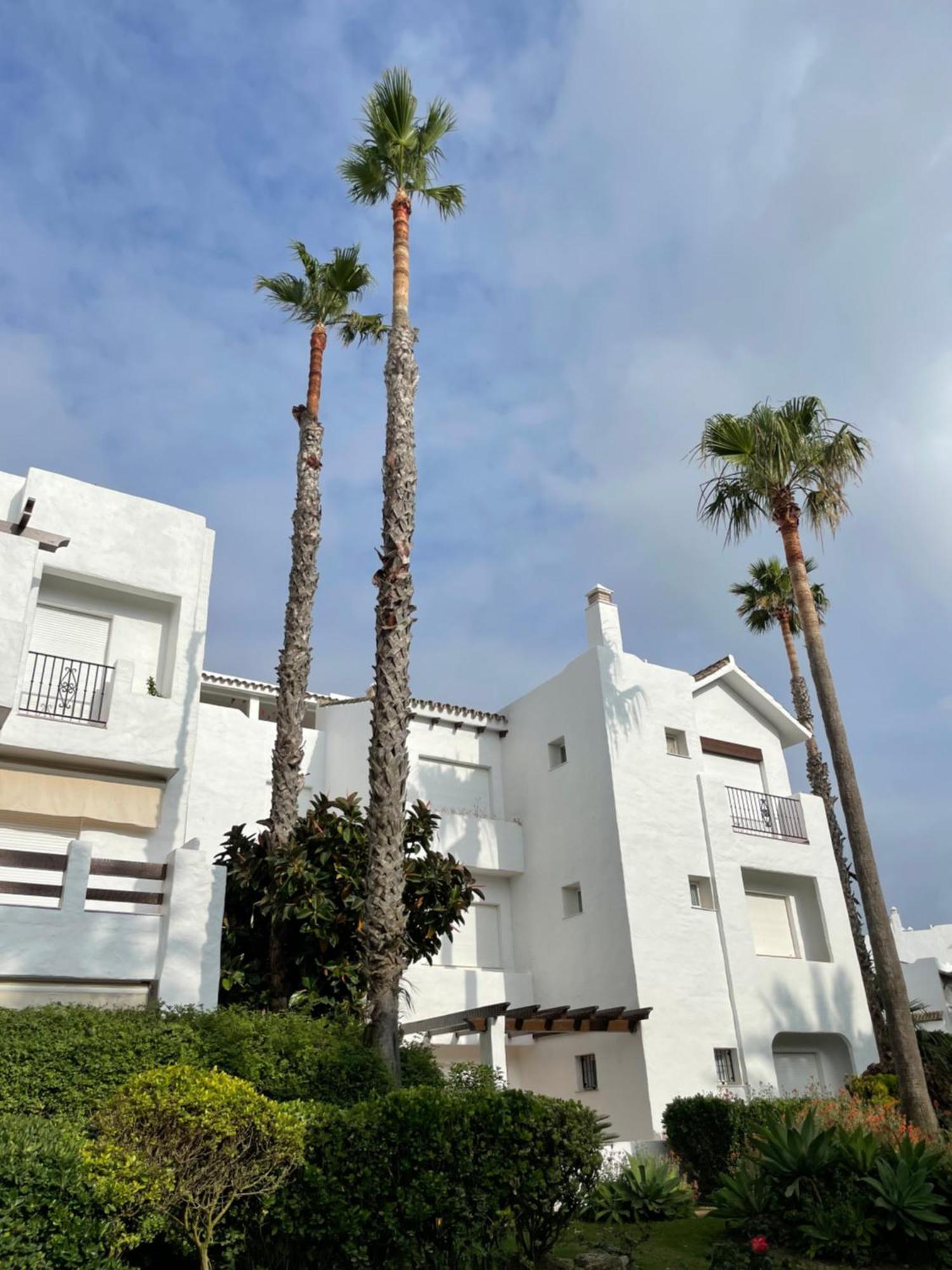 Relax&Sunset Appartement Costa Ballena Rota Buitenkant foto